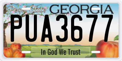GA license plate PUA3677