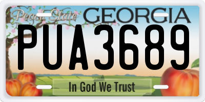 GA license plate PUA3689