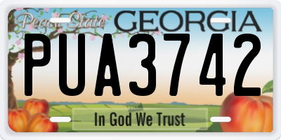 GA license plate PUA3742