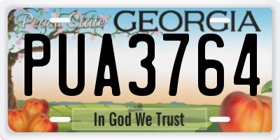 GA license plate PUA3764
