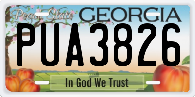 GA license plate PUA3826
