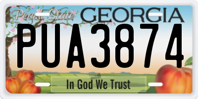 GA license plate PUA3874