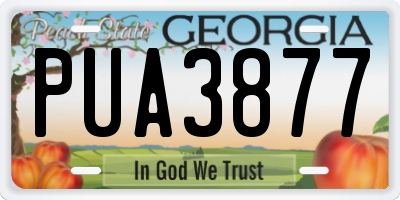 GA license plate PUA3877