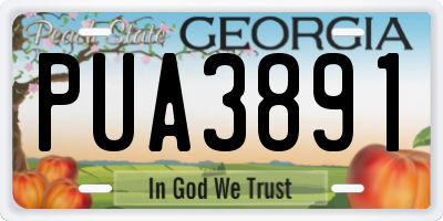GA license plate PUA3891