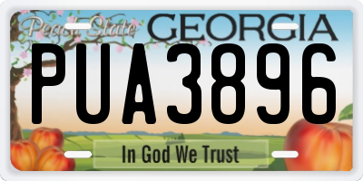 GA license plate PUA3896