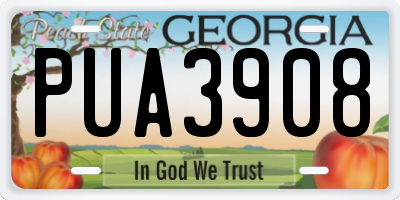 GA license plate PUA3908