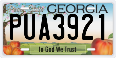GA license plate PUA3921