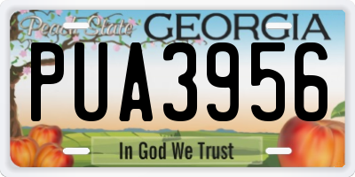 GA license plate PUA3956