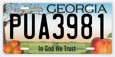 GA license plate PUA3981