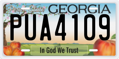 GA license plate PUA4109