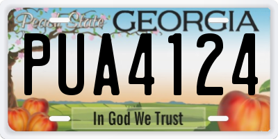 GA license plate PUA4124