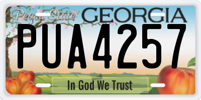 GA license plate PUA4257