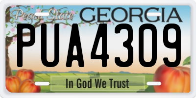 GA license plate PUA4309
