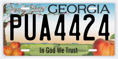 GA license plate PUA4424