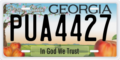 GA license plate PUA4427