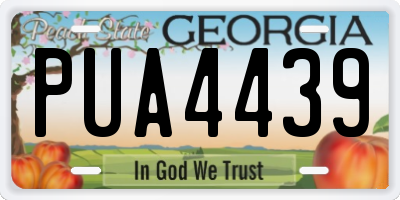GA license plate PUA4439