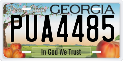 GA license plate PUA4485