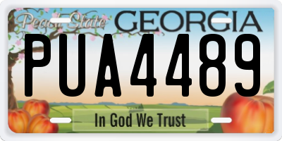 GA license plate PUA4489
