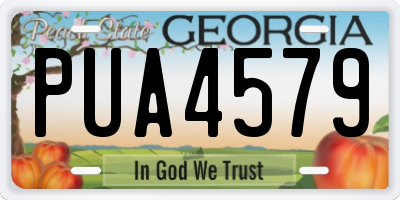 GA license plate PUA4579
