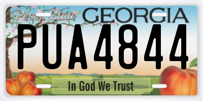 GA license plate PUA4844