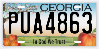GA license plate PUA4863