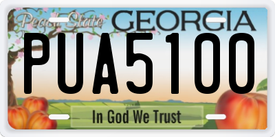 GA license plate PUA5100
