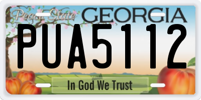 GA license plate PUA5112