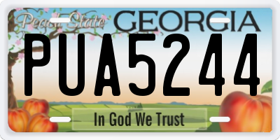 GA license plate PUA5244