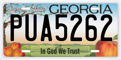 GA license plate PUA5262