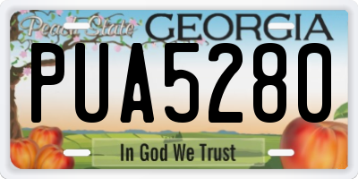GA license plate PUA5280