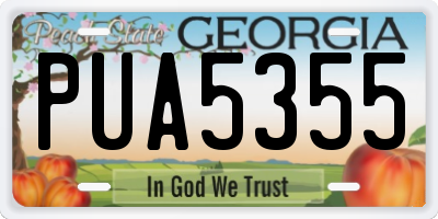 GA license plate PUA5355