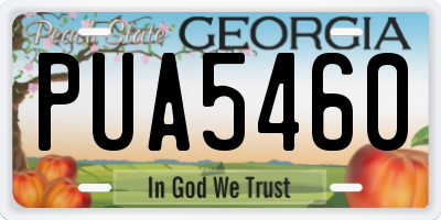 GA license plate PUA5460