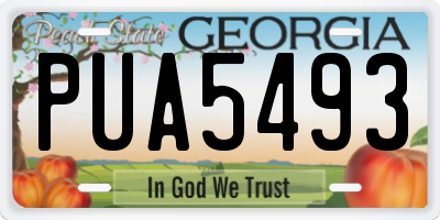GA license plate PUA5493