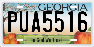 GA license plate PUA5516