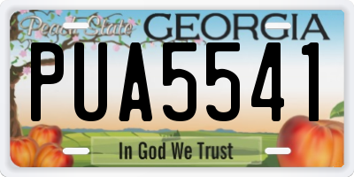 GA license plate PUA5541