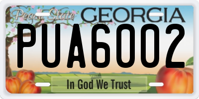 GA license plate PUA6002