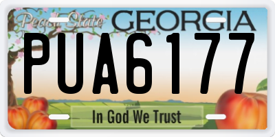 GA license plate PUA6177