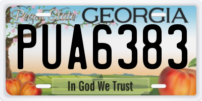 GA license plate PUA6383