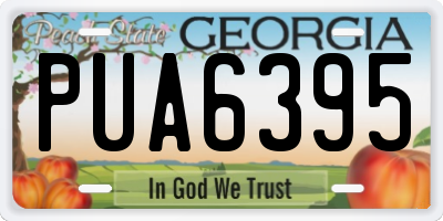 GA license plate PUA6395