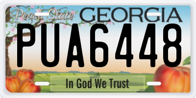 GA license plate PUA6448