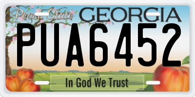 GA license plate PUA6452
