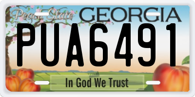 GA license plate PUA6491