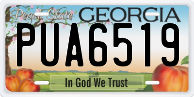 GA license plate PUA6519