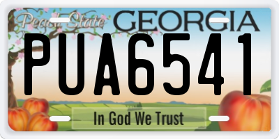 GA license plate PUA6541