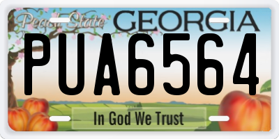 GA license plate PUA6564