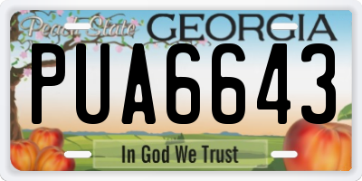 GA license plate PUA6643