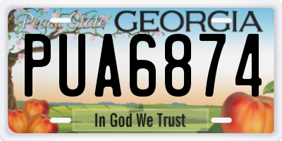 GA license plate PUA6874