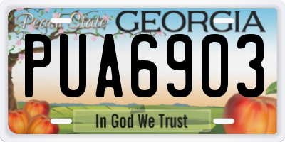 GA license plate PUA6903