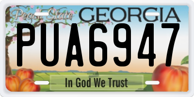 GA license plate PUA6947