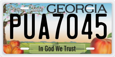 GA license plate PUA7045